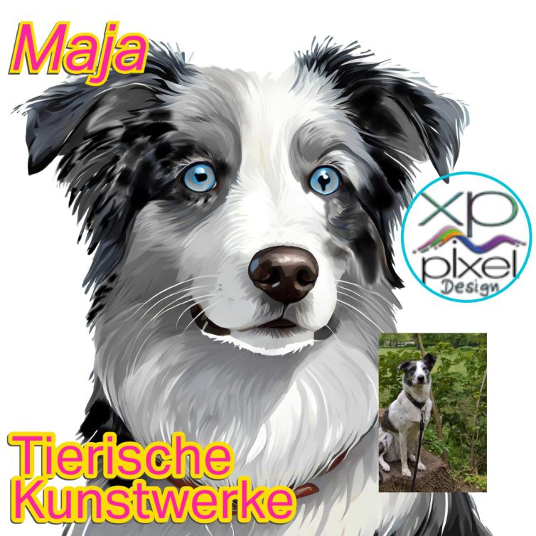 Hund Maja Shop xppixeldesign