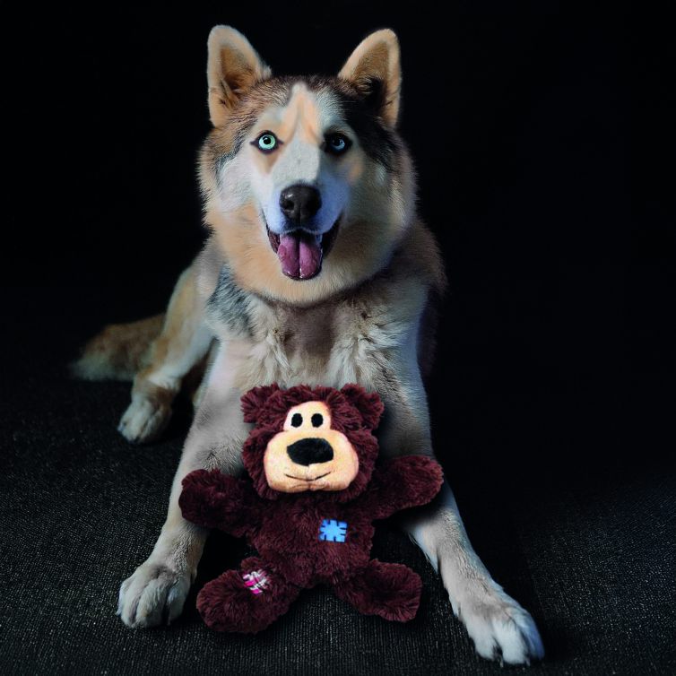 Husky xppixeldesign.de