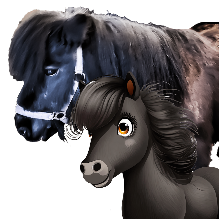 Mariechen Reitpädagogik Heinsberg