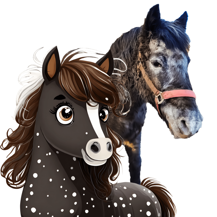 Pumba Reitpädagogik Heinsberg
