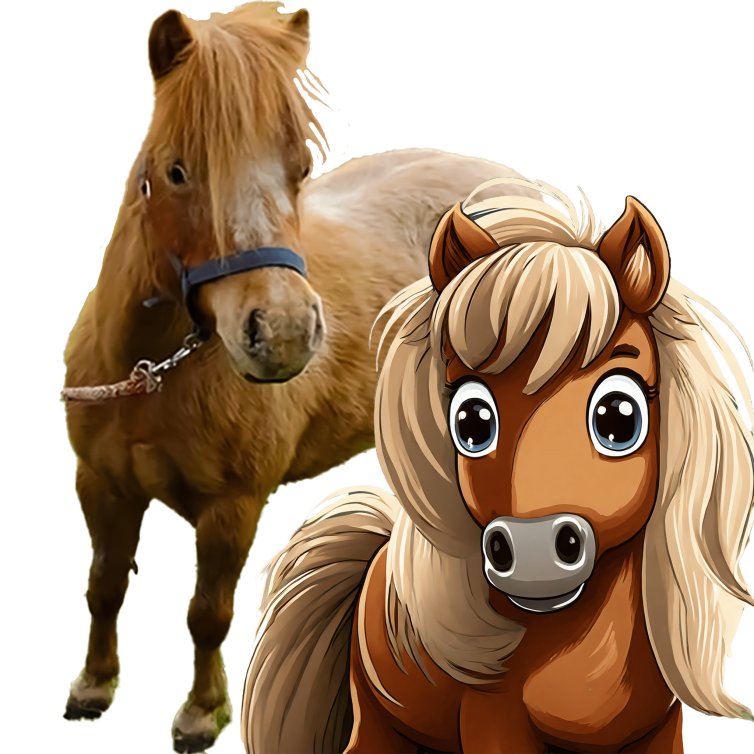 Samba Reitpädagogik Heinsberg